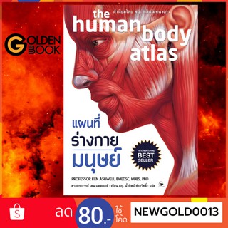 Goldenbook : หนังสือ    แผนที่ร่างกายมนุษย์ (ปกแข็ง)