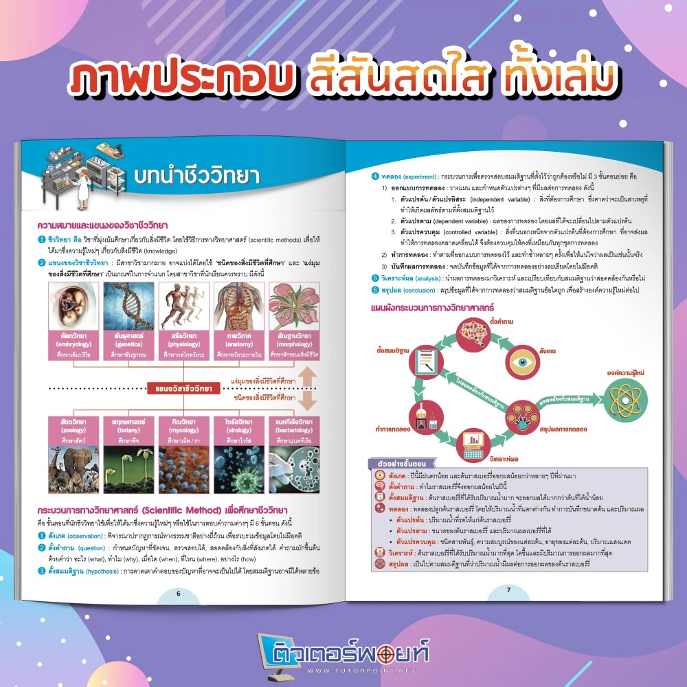 หนังสือ สรุปเนื้อหา ชีววิทยา มัธยมปลาย (BIOLOGY) [รหัส A-005] thumbnail 6