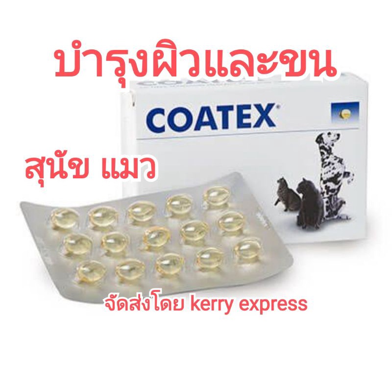 coatex exp 08/2025 capsule#บำรุงผิวและขน ยาบำรุงขนเข้มข้น