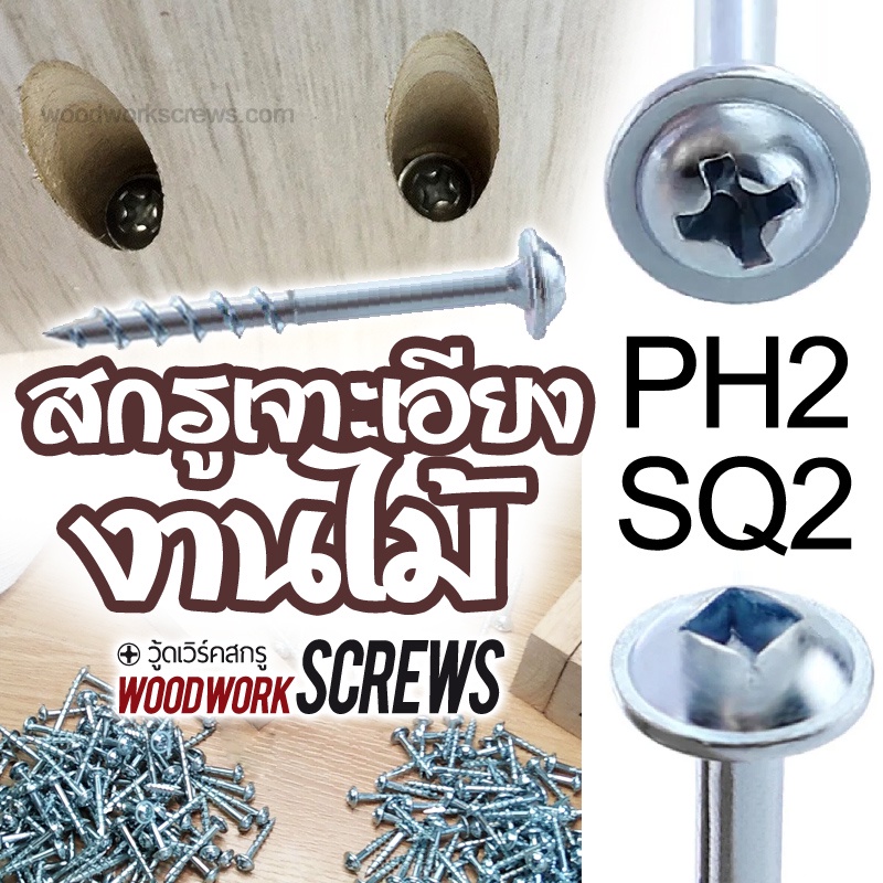 สกรูจิ๊กเจาะเอียง PH2 งานไม้โดยเฉพาะ เกลียวปล่อย ติดแหวน 25/32/38/50/63mm Pocket hole screws ทุกความยาว