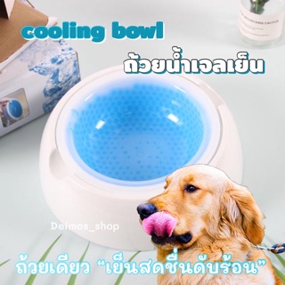 cooling bowl ถ้วยน้ำเจลเย็น สำหรับสัตว์เลี้ยง