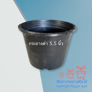 กระถางดำ 5.5 นิ้ว เซท 50 ใบ กระถางพลาสติกดำ ขนาดปาก 5.5 นิ้ว สูง 4 นิ้ว