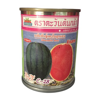 แตงโม กินรี c-28 40g ตะวันต้นกล้า