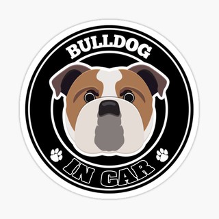 สติ๊กเกอร์ติดรถ แต่งรถ สติ๊กเกอร์ แม่เหล็กติดรถยนตร์ สติ๊กเกอร์หมา Bulldog in Car  - DGC22