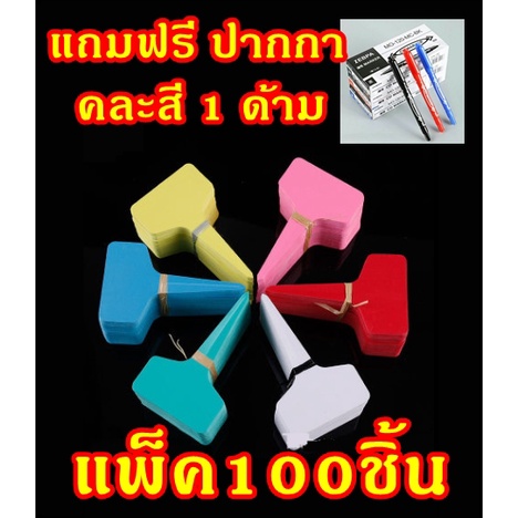 ป้ายชื่อต้นไม้พลาสติก ขนาด 0.5 มม. แพ็คละ 100 ชิ้น ขนาด 6x10 ซม. แถม ปากกาคละสี 1 ด้าม (ของอยู่ไทย พร้อมส่ง)