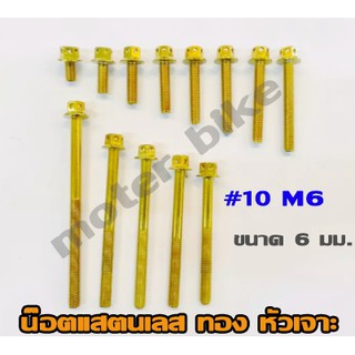 น๊อตแสตนเลส ทอง หัวเจาะ #10 M6 ขนาด 6 มิลลิเมตร // มีให้เลือก 12 เบอร์