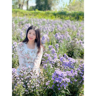 🌸🌼🍀เดรสลายดอกชีฟอง สีขาว แต่งลูกไม้กระดุมหน้า ซับในทั้งตัว  (ของแม่ค้ามือ ✌)