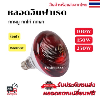 หลอดไฟอินฟาเรดกกไก่ กกหมู กกสัตว์ [แบบหนา] E27หลอดไฟให้ความอบอุ่น infrared bulb