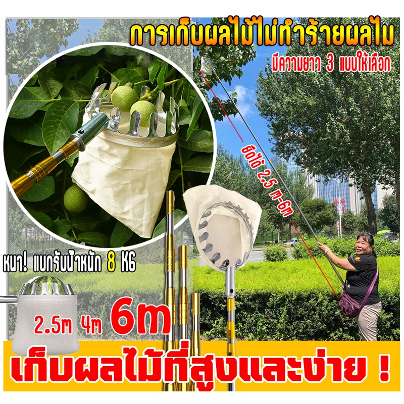【5ปีก็ไม่พัง!】ไม้ สอยผลไม้ มืออาชีพ ไม้ ยืดหดได้  2.5m-10m ปลอดภัย  และสะดวกสบาย（ตะกร้อสอยมะม่วง）