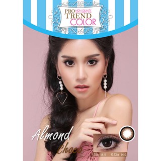 Protrend Color คอนแทคเลนส์ รุ่น Almond Choco