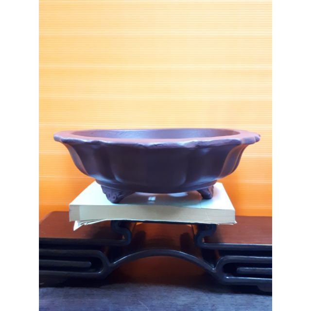 My Image 19