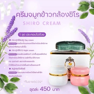 Shiro cream ครีมชิโร ครีมจมูกข้าวกล้อง สารสกัดจากจมูกข้าวกล้อง พร้อมสบู่โบทอกซ์ คลอโรฟิลล์ (8841)