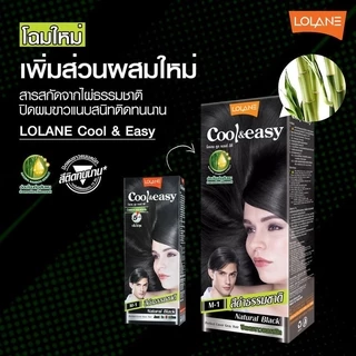 สีย้อมผม ครีมปิดผมขาว โลแลน คูล แอนด์ อีซี่ คัลเลอร์ครีม Lolane Cool & Easy Color Cream