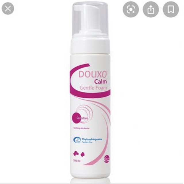 Douxo calm mousse มูสสำหรับสุนัขและแมวที่มีภาวะคันแดงจากภูมิแพ้
