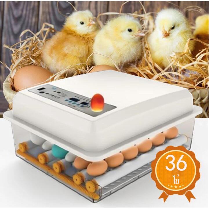ตู้ฟักไข่ถูกๆ 36 ฟอง ตู้ฟักไข่อัตโนมัติ พลิกไข่อัตโนมัติ ตู้ฟักไข่ ตู้ฝักไข่ไก่ เครื่องฟักไข่ เครื่องฟักไข่อัตโนมัติ
