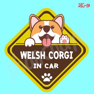 DIC53 สติ๊กเกอร์ ติดรถ Welsh Corgi Dog In Car สติ๊กเกอร์ติดรถ แต่งรถ car sticker