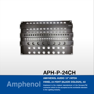 Amphenol APH-P-24CH Amphenol Audio 19” Patch Panel 24 Port (Black Colour), 2U