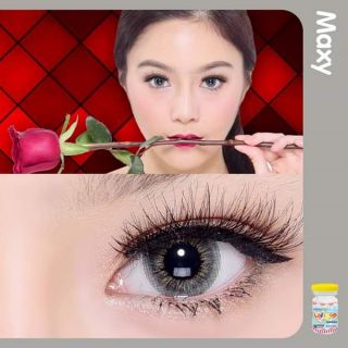 คอนแทคเลนส์ ลาย Maxy