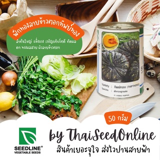 50กรัม เมล็ดพันธุ์ กป 50 กรัม ฟักทองลายข้าวตอกลูกผสม ทิพย์ทอง (THIPTHONG) ตราซีดไลน์