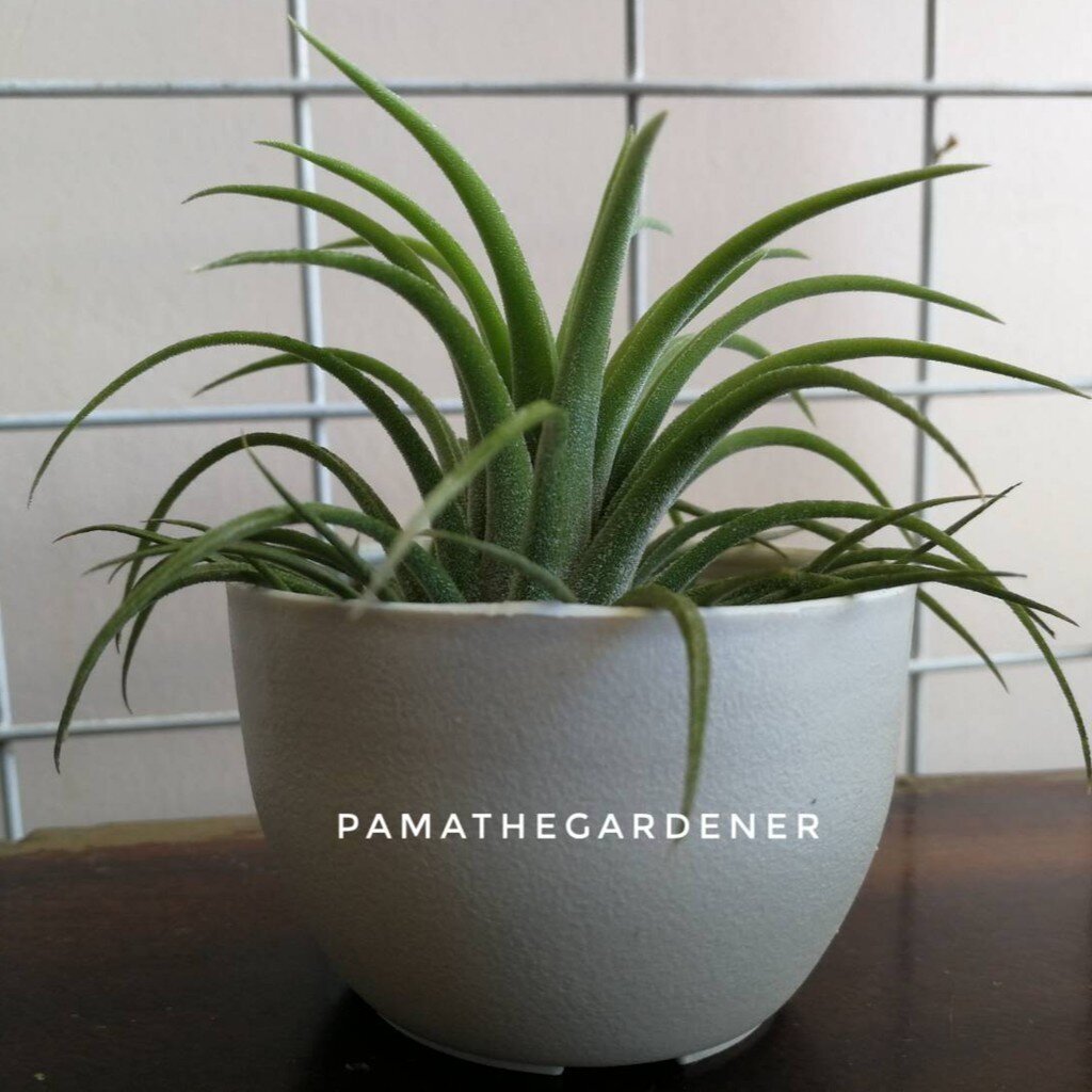 มุมมอง 6