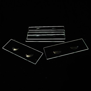 สไลด์หลุม 2 หลุม 5 แผ่น/ชุด  (Microscope Slide Double Cavity 5Pcs)