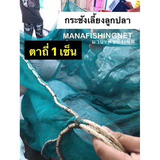 #กระชัง ตาถี่ 1 เซ็น 📌ขนาด 3x6 เมตร ลึก 1.8 เมตร 🅰️ แบบสำเร็จพร้อมกาง เนื้ออวนปั๊มเขียว 📌ไม่มีปม