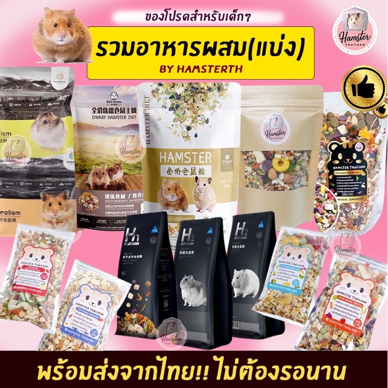 [Hamsterth] อาหารหนูแฮมเตอร์ h1 h2 funny bunny suiko'Dr brandname fuirtmix เจ รวมทุกยี่ห้อ