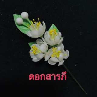 ดอกสารภีดินไทย......