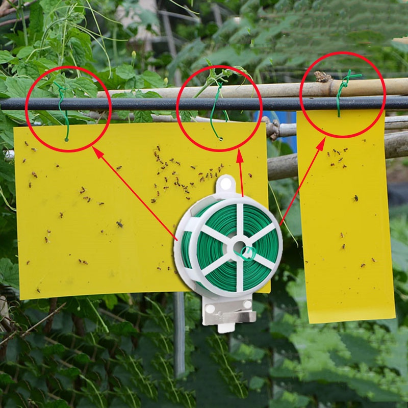 ลวดมัดต้นไม้ (ม้วน20/50/100เมตร) ลวดดัดต้นไม้ ลวดรัดต้นไม้ พร้อมตัวตัดลวด ลวดหุ้มพลาสติก ลวดผูกต้นไม้ ลวดสำหรับผูกต้นไม้ - รูปที่ 7