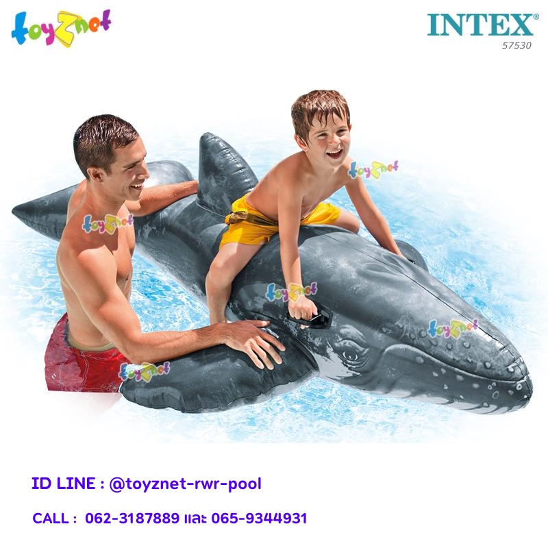 Intex แพปลาวาฬ 2.01×1.35 ม. รุ่น 57530 – โปรปัง