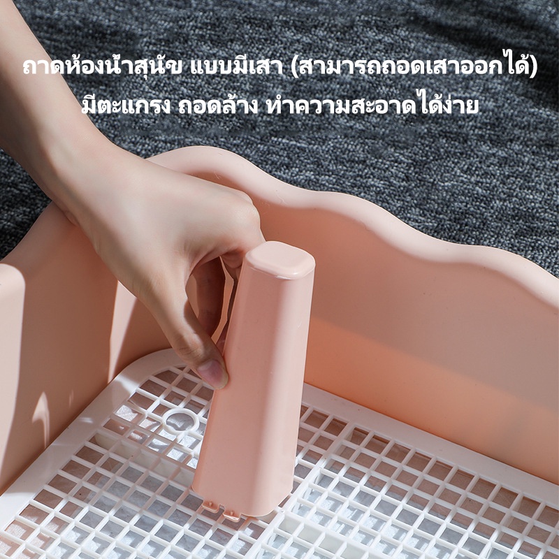 รูปภาพ 2