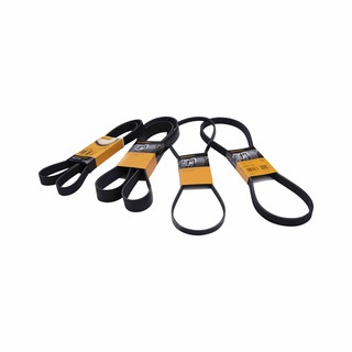 Continental สายพานหน้าเครื่อง Ford Focus 04-12 Diesel 2