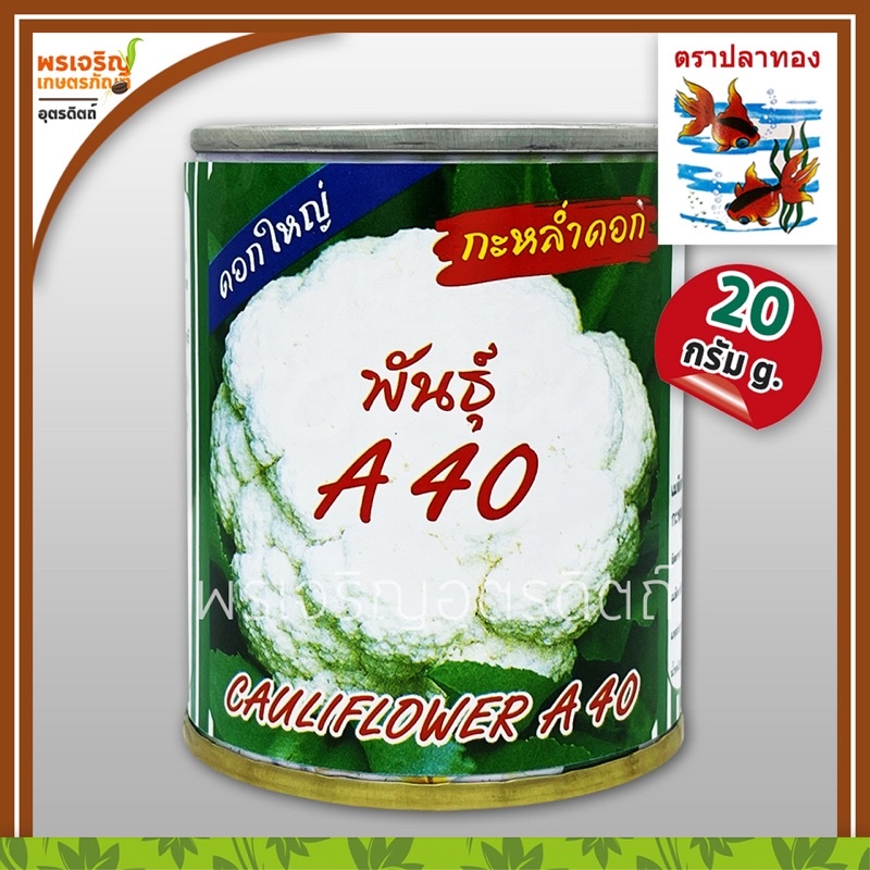 เมล็ดพันธุ์ กะหล่ำดอก A40 ขาวนวล ดอกใหญ่ (20 กรัม) เมล็ดกะหล่ำดอก เมล็ดผักเมืองหนาว เมล็ดพันธุ์ผักสวนครัว ตราปลาทอง
