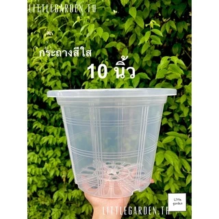Little กระถางพลาสติก 10 นิ้ว (สีดำเงาA+🖤) (สีขาวออร่าA+🤍)(สีอิฐ🧱)(สีใสA+💎)