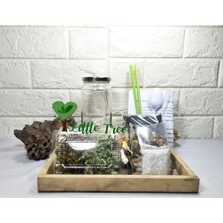 สวนขวด DIY ชุดจัดสวน ไซต์ S เบสิค ราคา 189 บาท มีสินค้าพร้อมส่ง