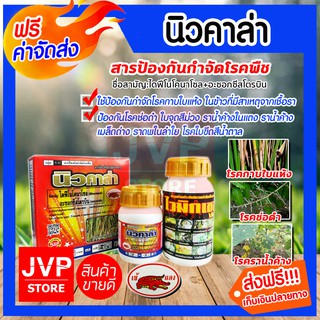 **ส่งฟรี**นิวคาล่า สารป้องกันกำจัดโรคพืช ขนาด 100มิลลิลิตรตราเข้แดงใช้ป้องกันกำจัดโรคใบแห้งในข้าวที่มีสาเหตุมาจากเชื้อรา