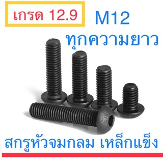 สกรูหัวจมกลม ดำ เหล็กแข็ง 12.9 M12