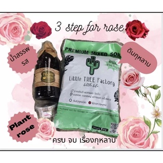 👍3 Step for rose ครบจบเรื่องกุหลาบ