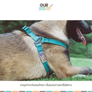 ร้านค้าเล็ก ๆ ของฉันสายรัดอก พร้อมสายจูงเข้าชุด Touchdog  รุ่นสายไนลอน 2 ชั้นนิ่มยินดีต้อนรับสู่การซื้อ