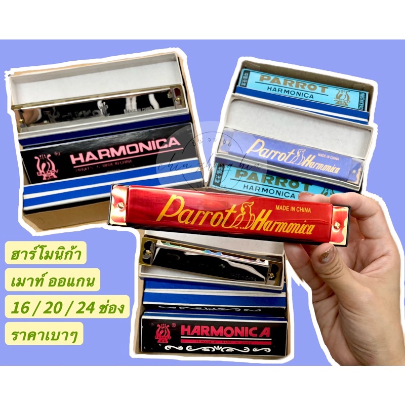 ฮาร์โมนิก้า เม้าออแกน คีย์ C 16,20,24 ช่อง ตรา Parrot Harmonica 20 Holes-C