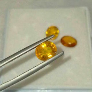 พลอยบุษราคัม สีเหลือง Yellow Sapphire ไข่ 7×5.6 mm. 1.35กะรัต เหมาะทำฝังพลอยเม็ดเดี่ยว แหวนพลอย จี้พลอย พลอยแท้ธรรมชาติ