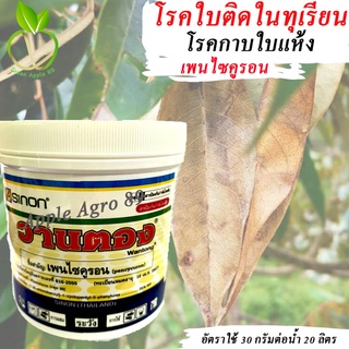 วานตอง ขนาด 250 กรัม เพนไซคูรอน (pencycuron) โรคทุเรียน ใบติดทุเรียน เชื้อราทุเรียน โรคใบติด กาบใบแห้ง โรคกาบใบแห้ง