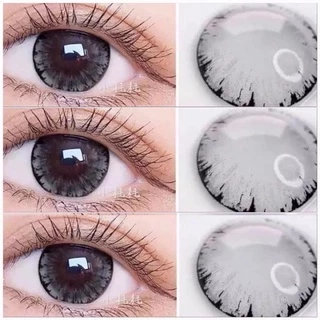 คอนแทคเลนส์🌈Omg🌈 Chestnut / Gray (Wink) ขนาดบิ๊กอาย💖 ฮิตในTiktok🔥ลายคล้ายTommy