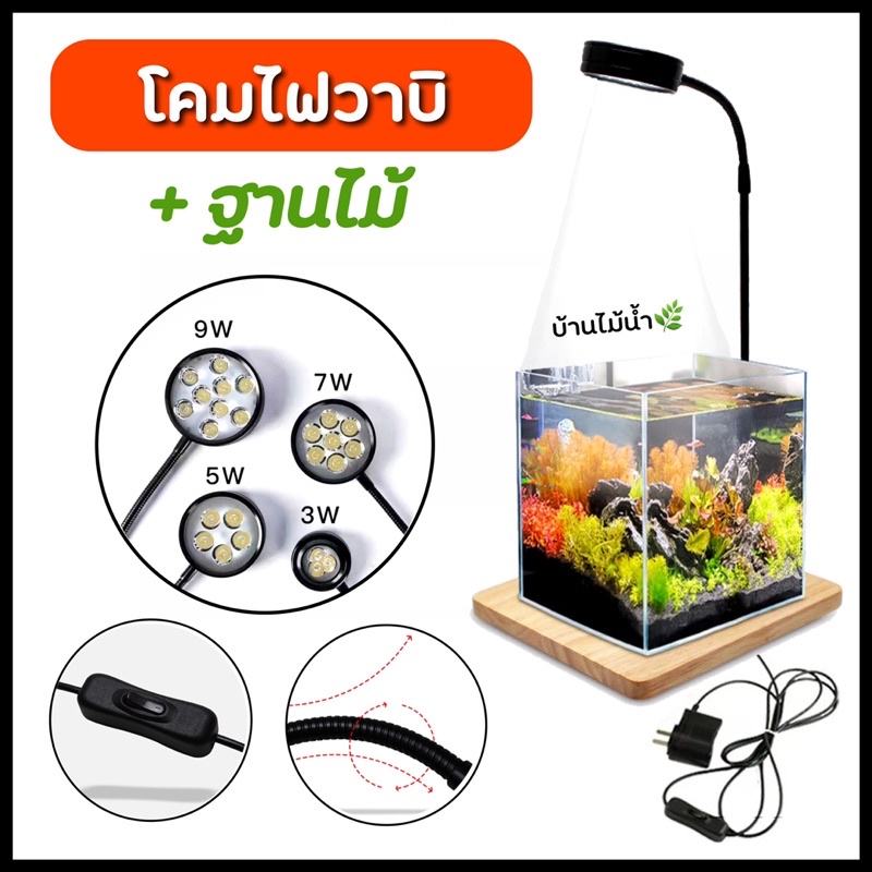 Terrarium โคมไฟวาบิ Wabi Kusa โคมไฟฐานไม้ เทอร์ราเรียม สวนขวด โหลแก้ว ไม้ชื้น Cactus ตู้ไม้น้ำ โหลไม้น้ำ | บ้านไม้น้ำ