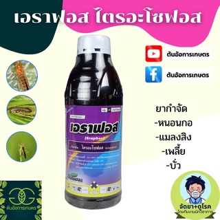 เอราฟอส สูตรเย็น ปลอดภัย ฉีดผ่าดอก ข้าวก้ม ชื่อสามัญ : ไตรอะโซฟอส ขนาด 1 ลิตร