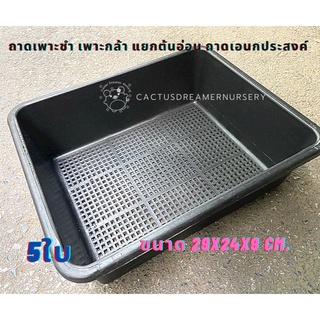 ลด50%ใส่โค้ดINCS83L - ถาดเพาะชำ ถาดเอนกประสงค์ ไซส์M 5ใบ