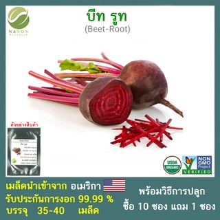 เมล็ดบีท รูท (Beet-Root) จำนวน 35-40 เมล็ด