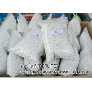 เพอร์ไลต์ (PERLITE) วัสดุปลูกผสมกระบองเพชร ไม้อวบน้ำ