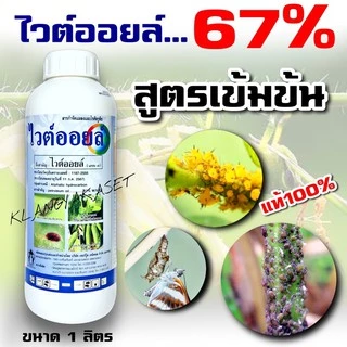 ไวท์ออยล์ ไวต์ออยล์ ช่วยคุมไข่แมลง ขนาด 1 ลิตร ไวท์ออยต์ ไวท์ออยด์ ไวออย