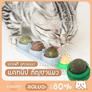 🐱 โปรโมชั่นสินค้าใหม่ กัญชาแมว ผงแคทนิป ของเล่นแมว บอลแมว 3 รสชาติ ฟรีลูกอม แคทนิปบอล กัญชาแมว  catnip ball ขนมแมวเลีย